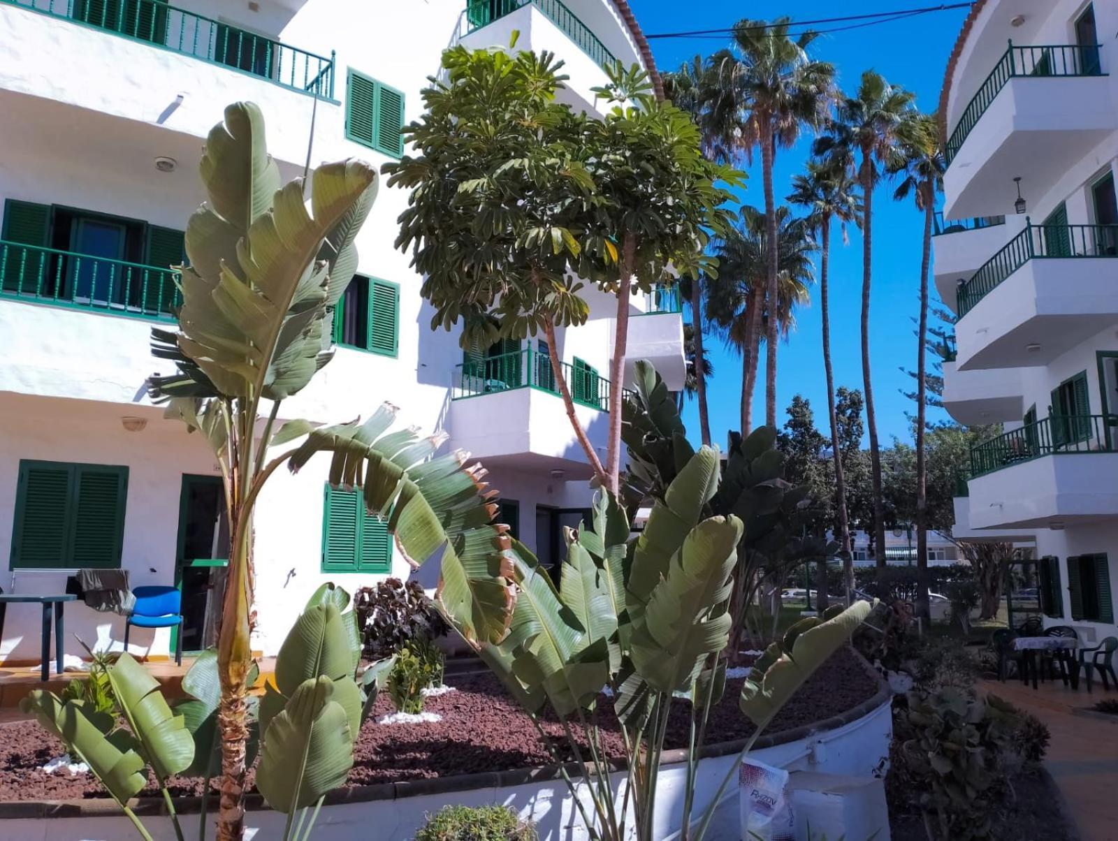 Canarian Havaii  Playa del Ingles  Bagian luar foto